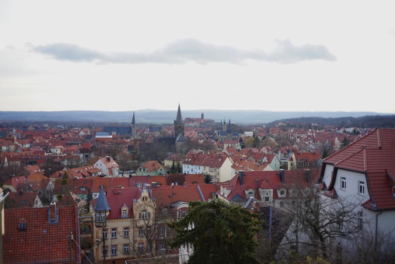 Gruene Insel Appartement Quedlinburg Buitenkant foto