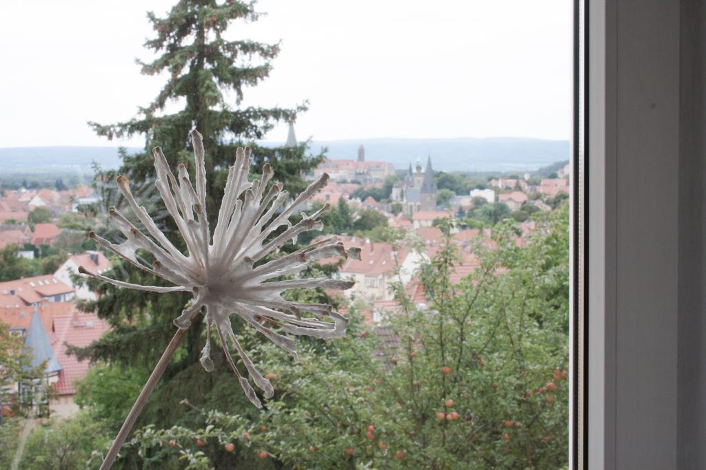 Gruene Insel Appartement Quedlinburg Kamer foto