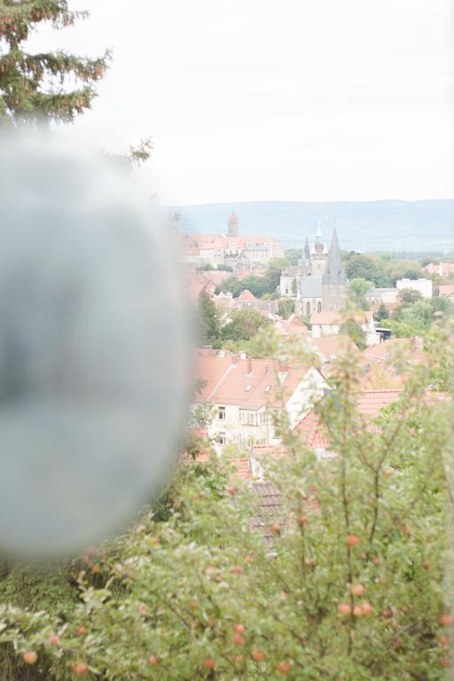 Gruene Insel Appartement Quedlinburg Kamer foto